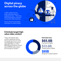 Digital Piracy Across the Globe Infographic