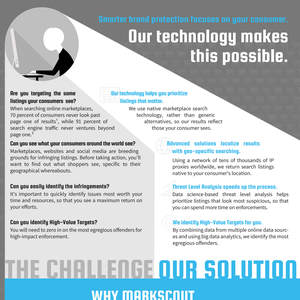 Consumer-Centric Brand Protection Infographic